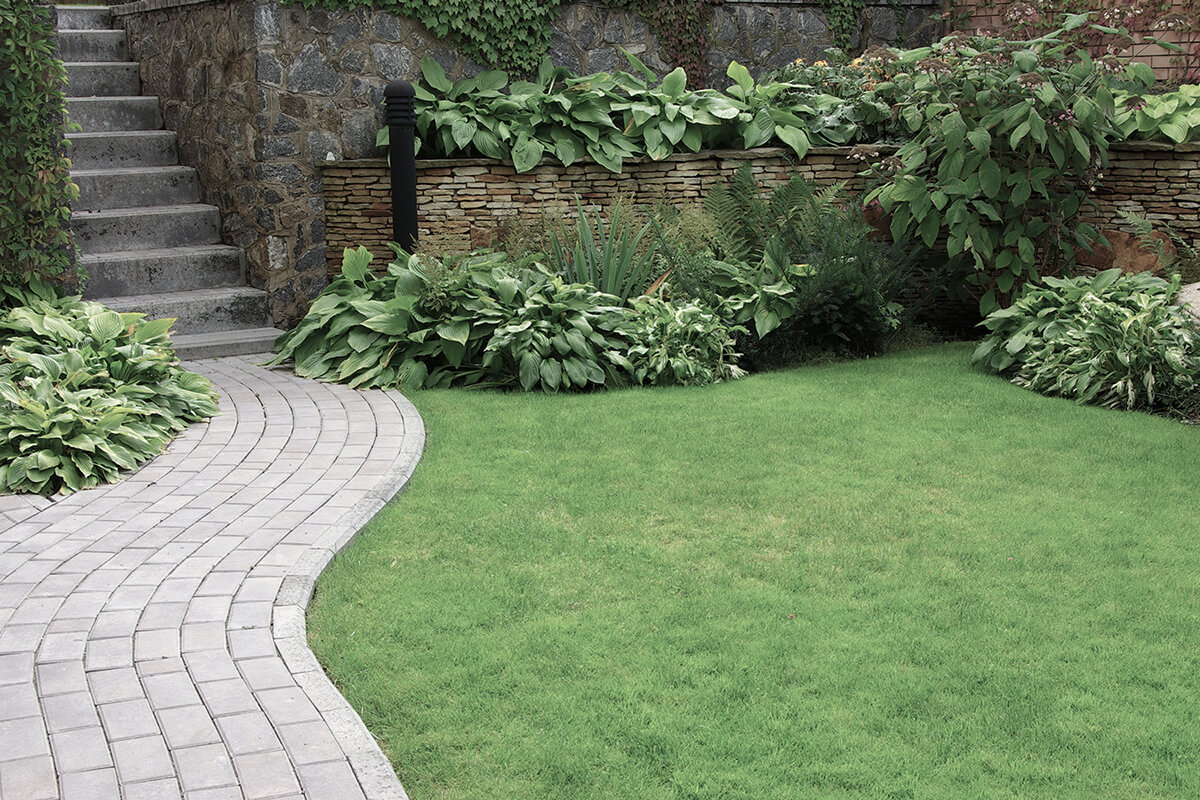 Welcome to Acorn Landscaping